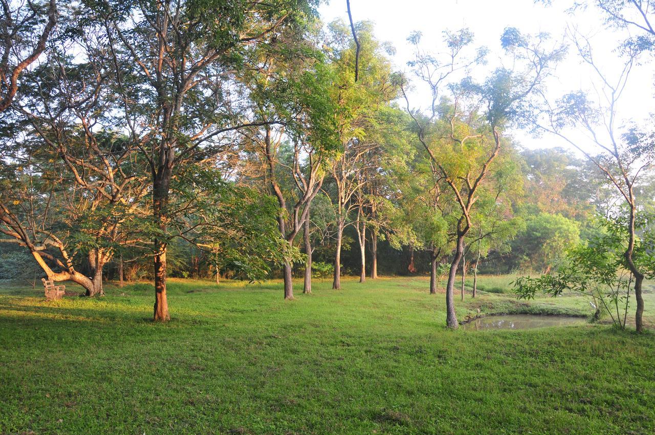 Villa Waters Edge, Anuradhapura Exterior foto